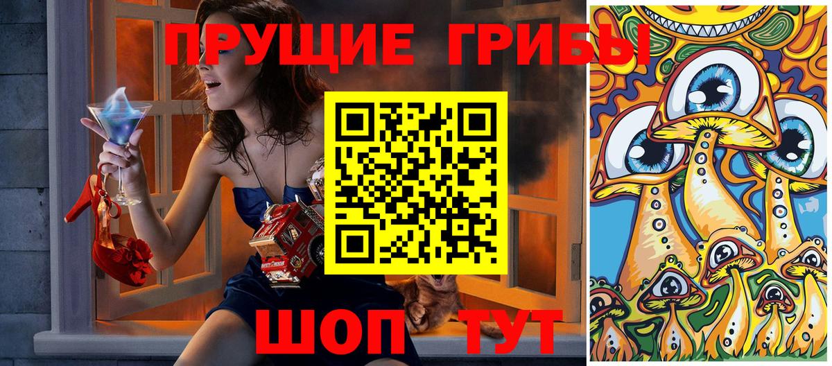 Псилоцибиновые грибы Psilocybe Абакан